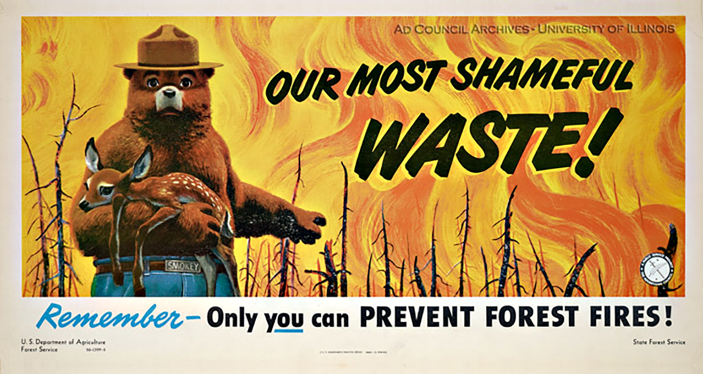 Only You Can Prevent Forest Fires Social Marketing Campaign