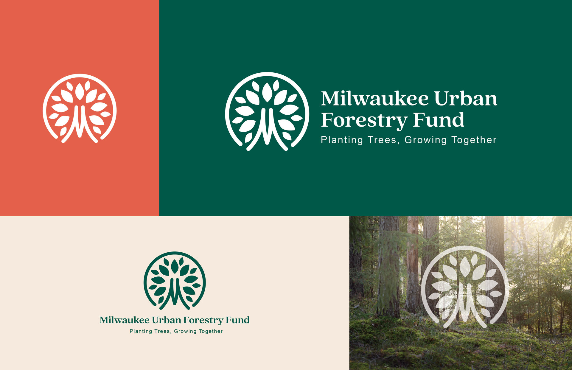 urban-forestry-branding